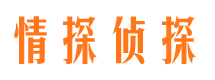 港口市侦探公司